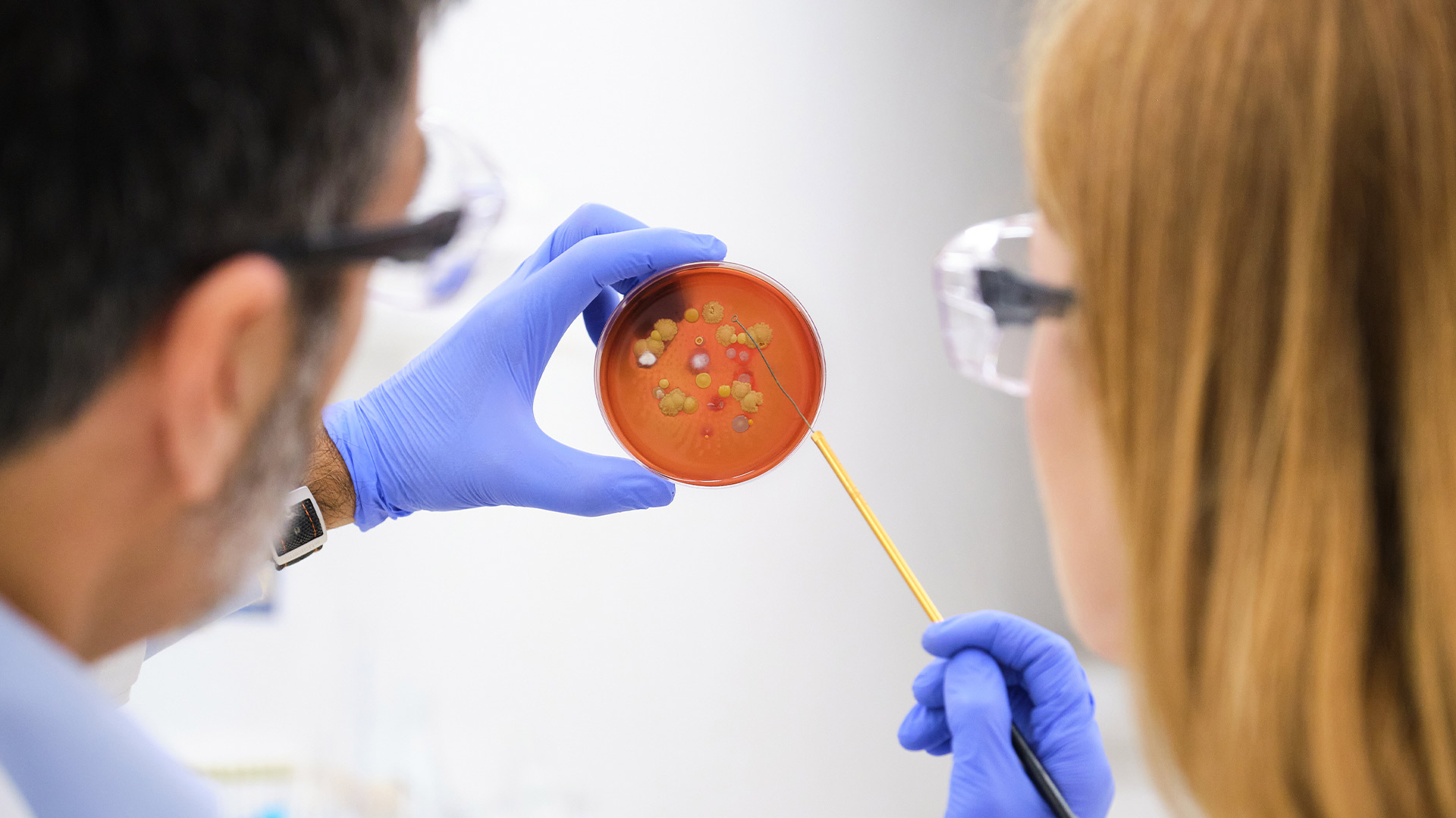 How Stem Cells Can Reverse Aging: What You Need to Know